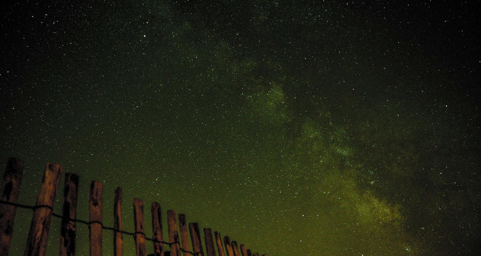 短信验证在软件开发中的应用?