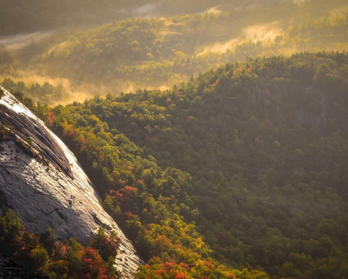 如何使用短信提高客户满意度 