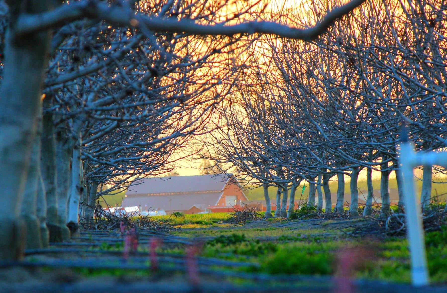 信无双2睡美人直播app详情下载教程