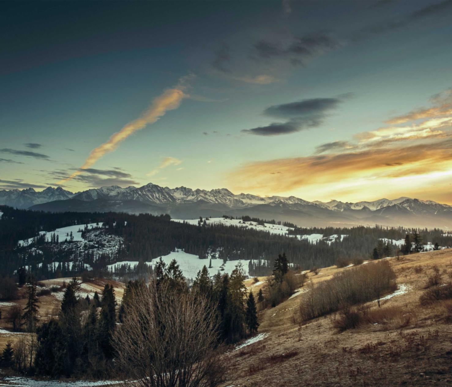 解读DDOS攻击项目- 禁漫天堂注册账号有风险吗