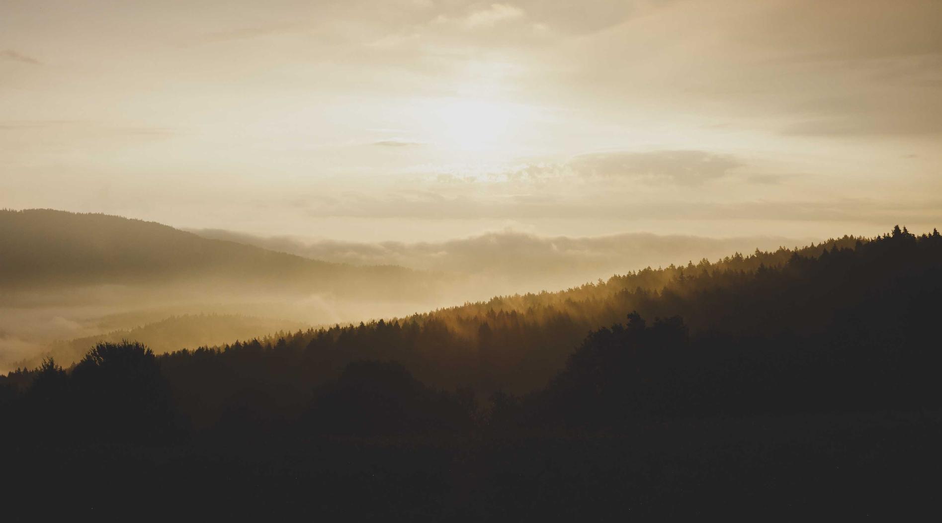 最强短信在线轰炸系统源码实名账号:流量卡的在线购买常见问题