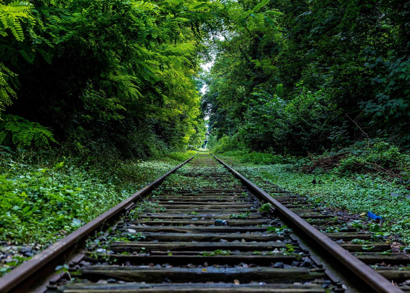 摩臣2企业营销中如何利用微信支付提高销售额