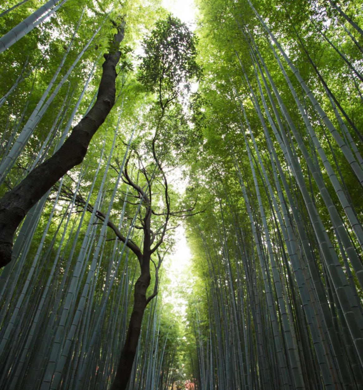 广东代理公司注册小知识