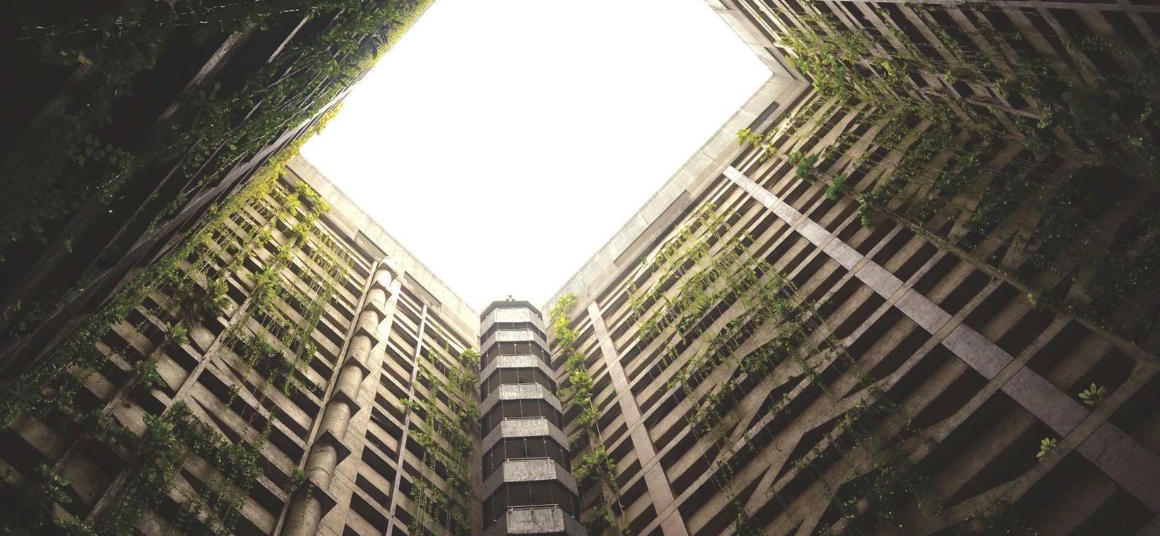 如何在游戏中与技术支持辅助玩家较量