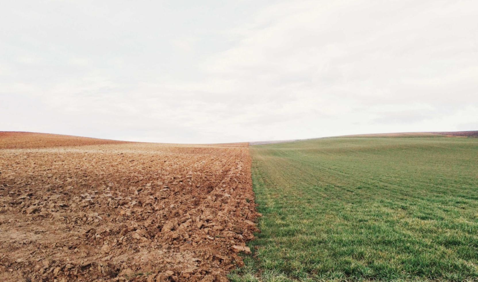 天富平台开户流程视频