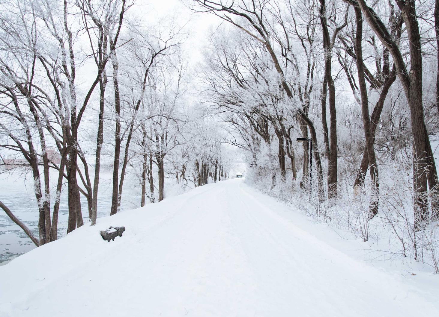 雾化器对香烟的替代品