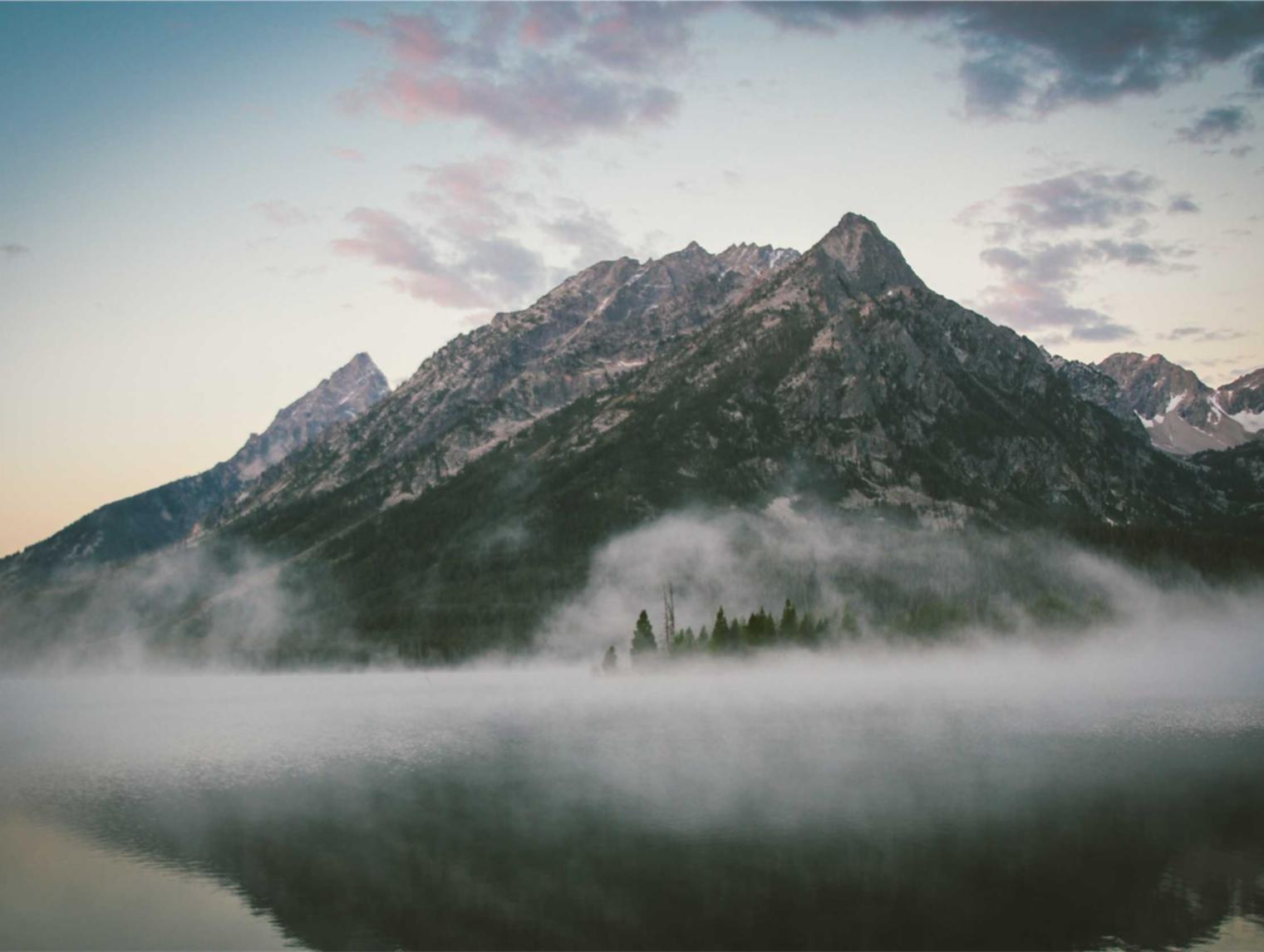 SEO优化的影响力-为什么它是重要的