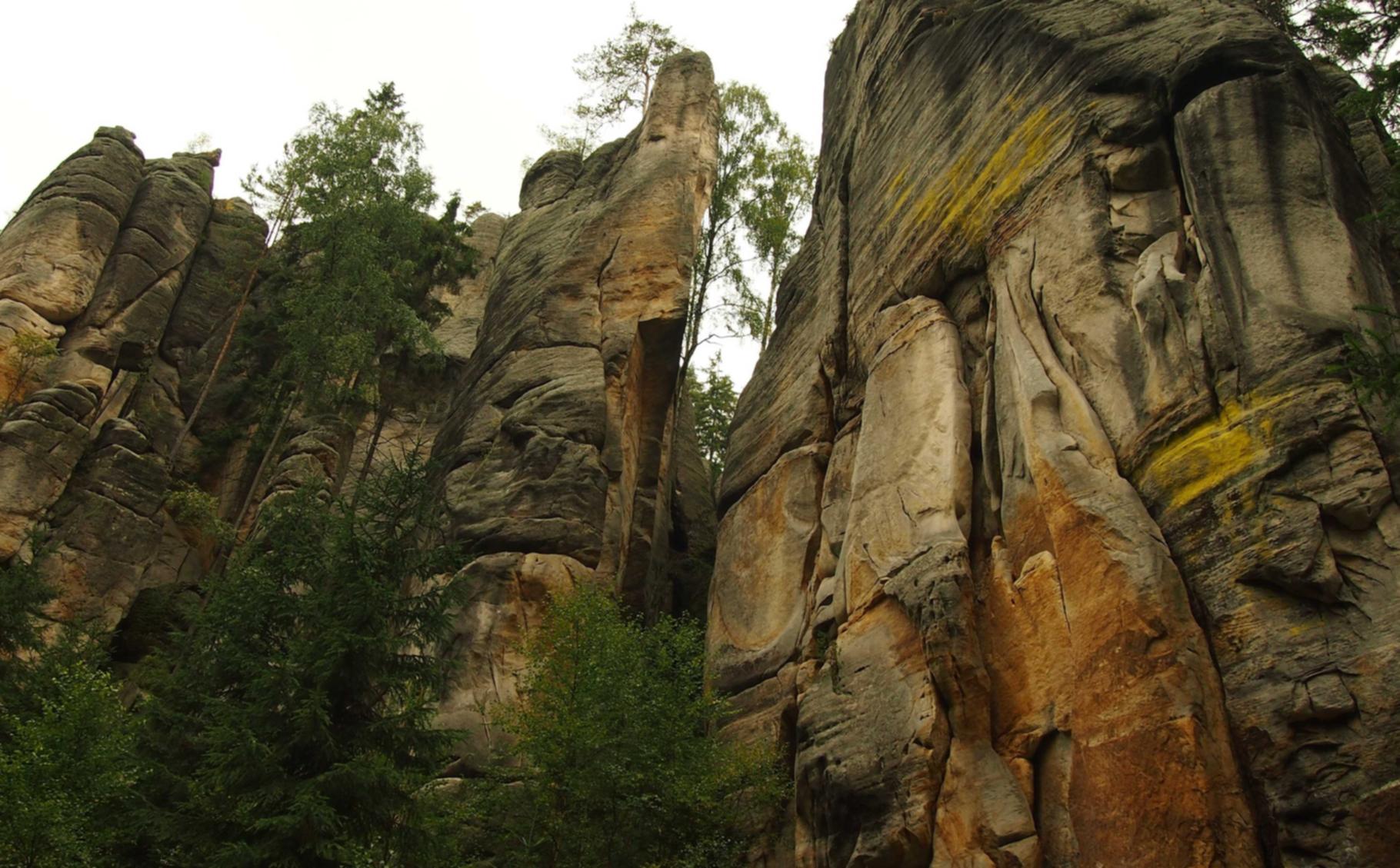 杏鑫如何在网上建立企业和客户关系