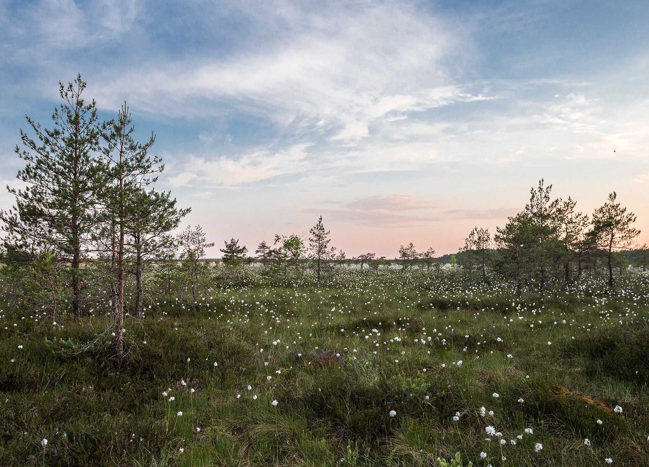 各种国外VX号:财税注册代理