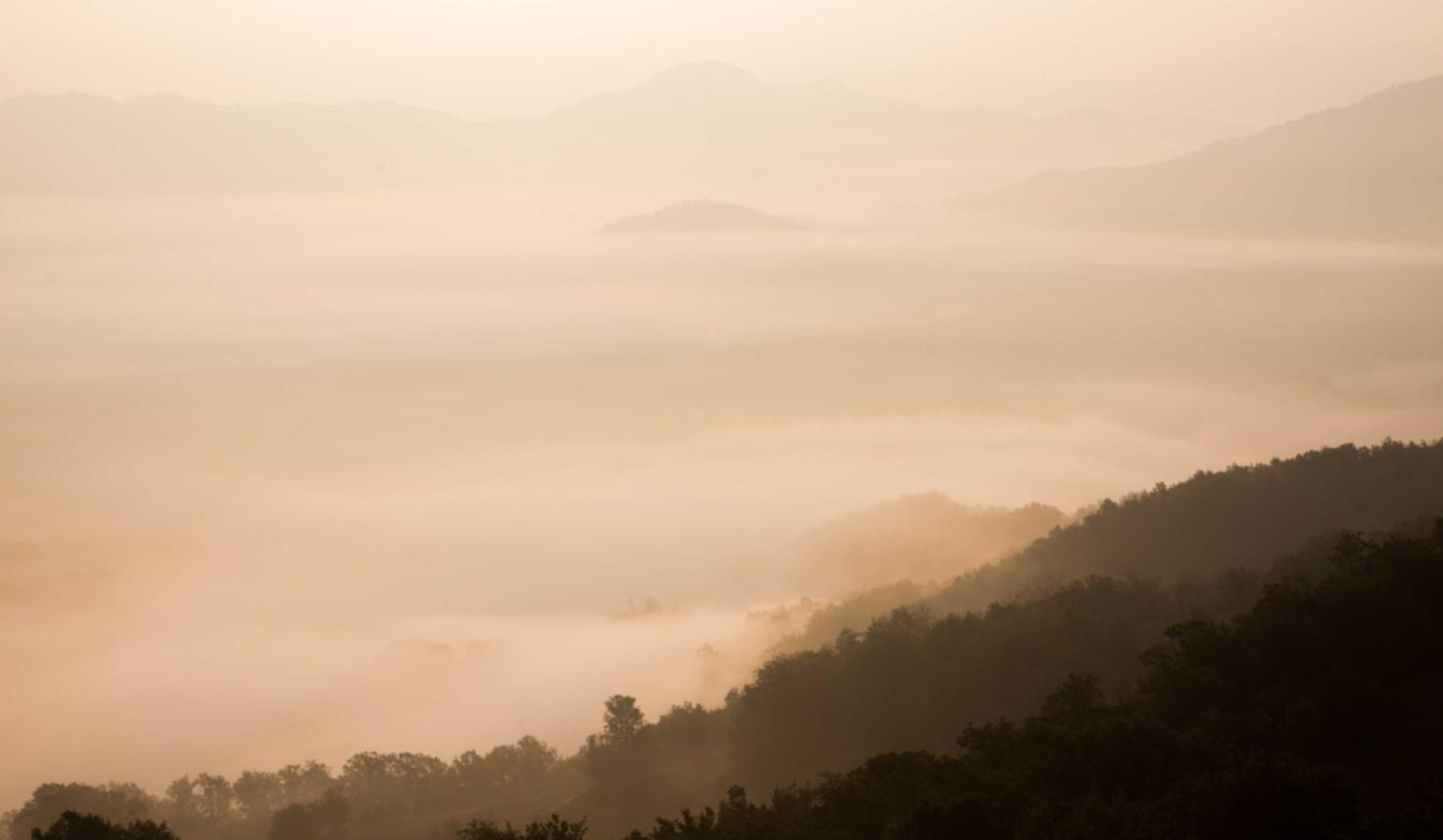 英雄联盟：详情下载教程壁纸的app