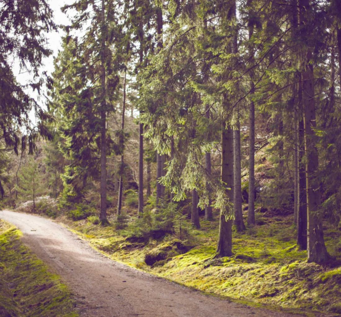 恒行医学用书购买平台