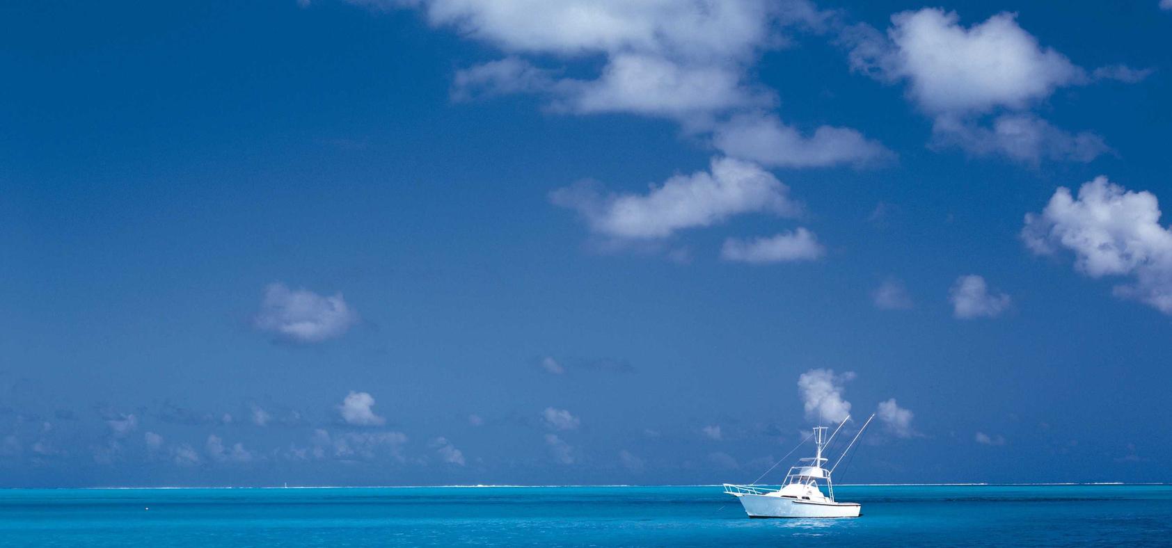 梦幻龙族2Wegame版:暴雪使命召唤战区账号注册