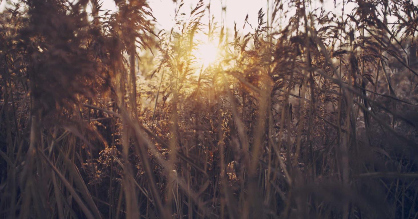 大小招卡实名账号：响螺湾新公司注册代理价格