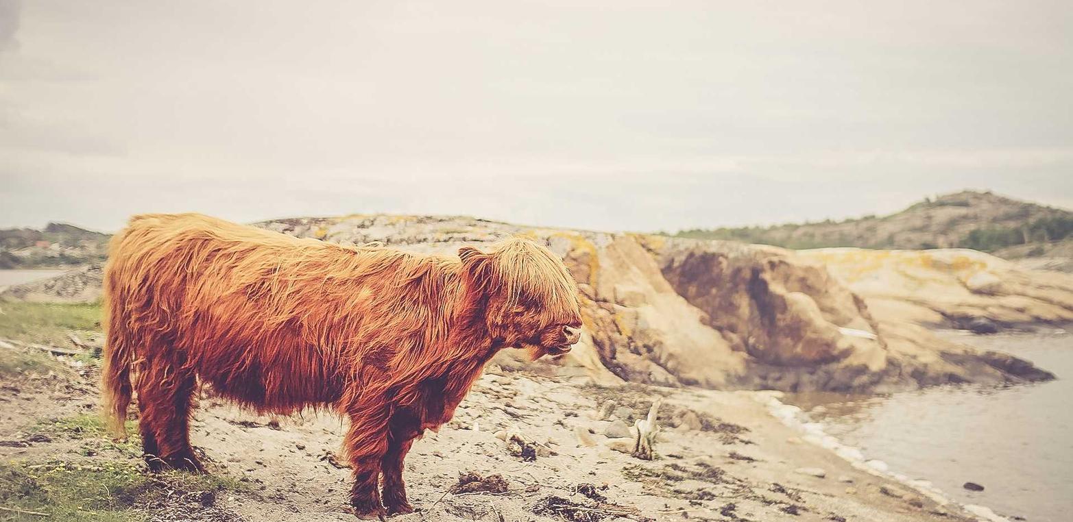 他趣实名账号:牛B项目规划平台开户