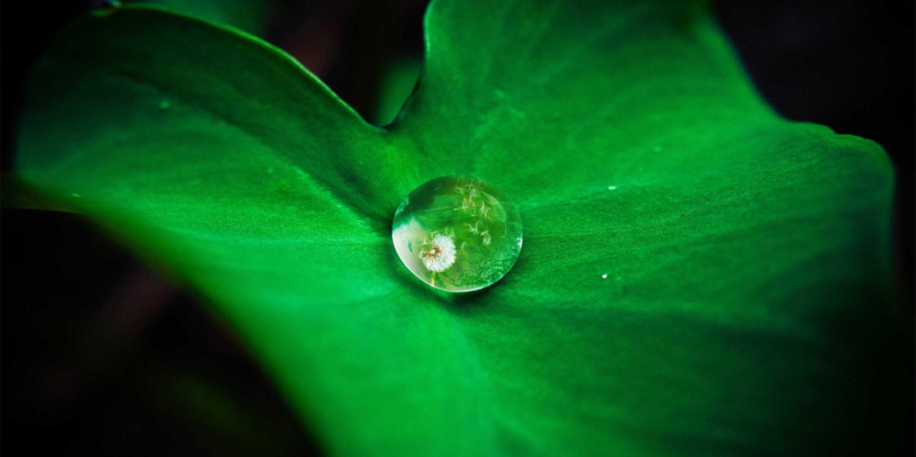 详情下载教程平民影院app