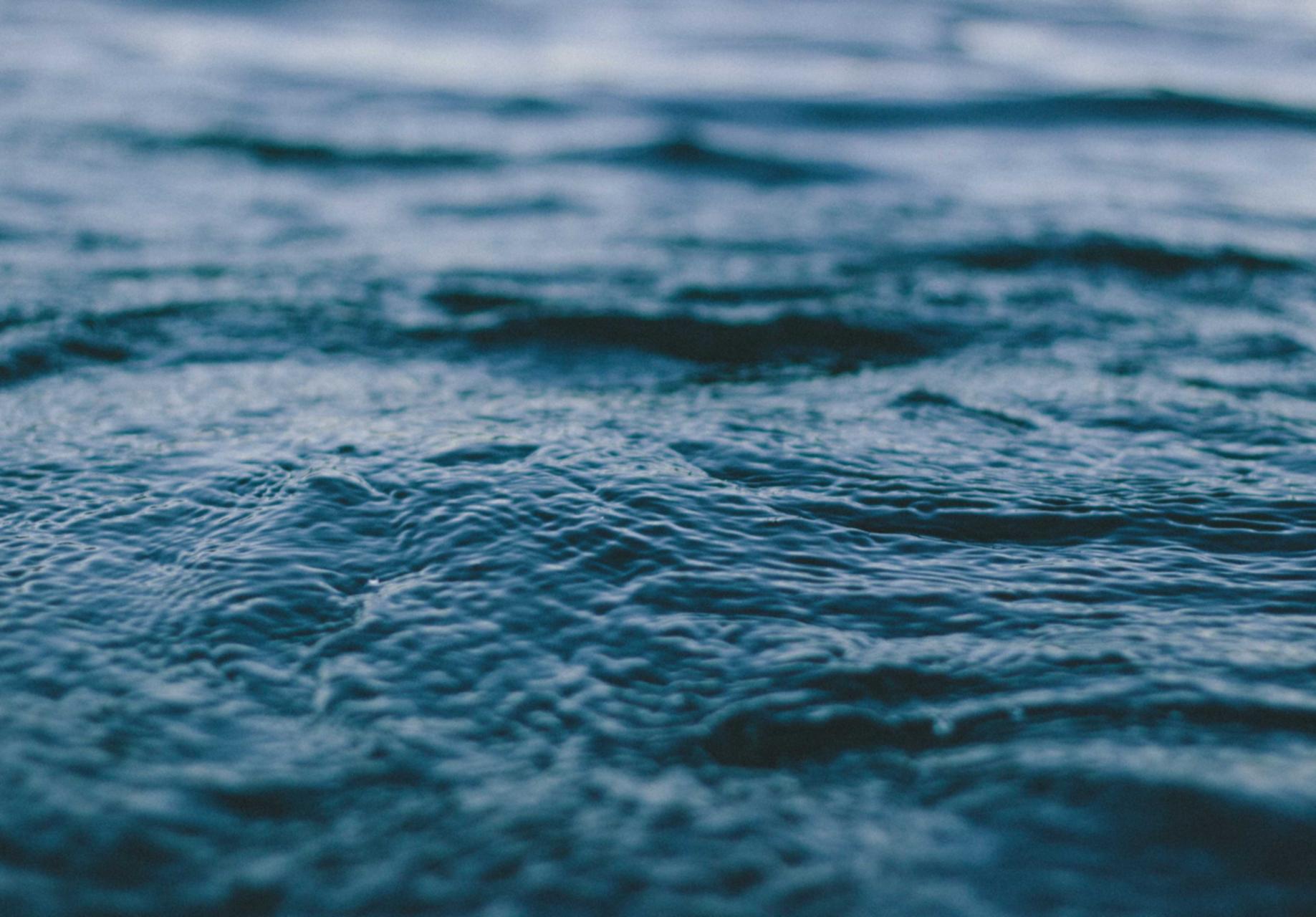 网页DDOS攻击平台|上海美食购买平台