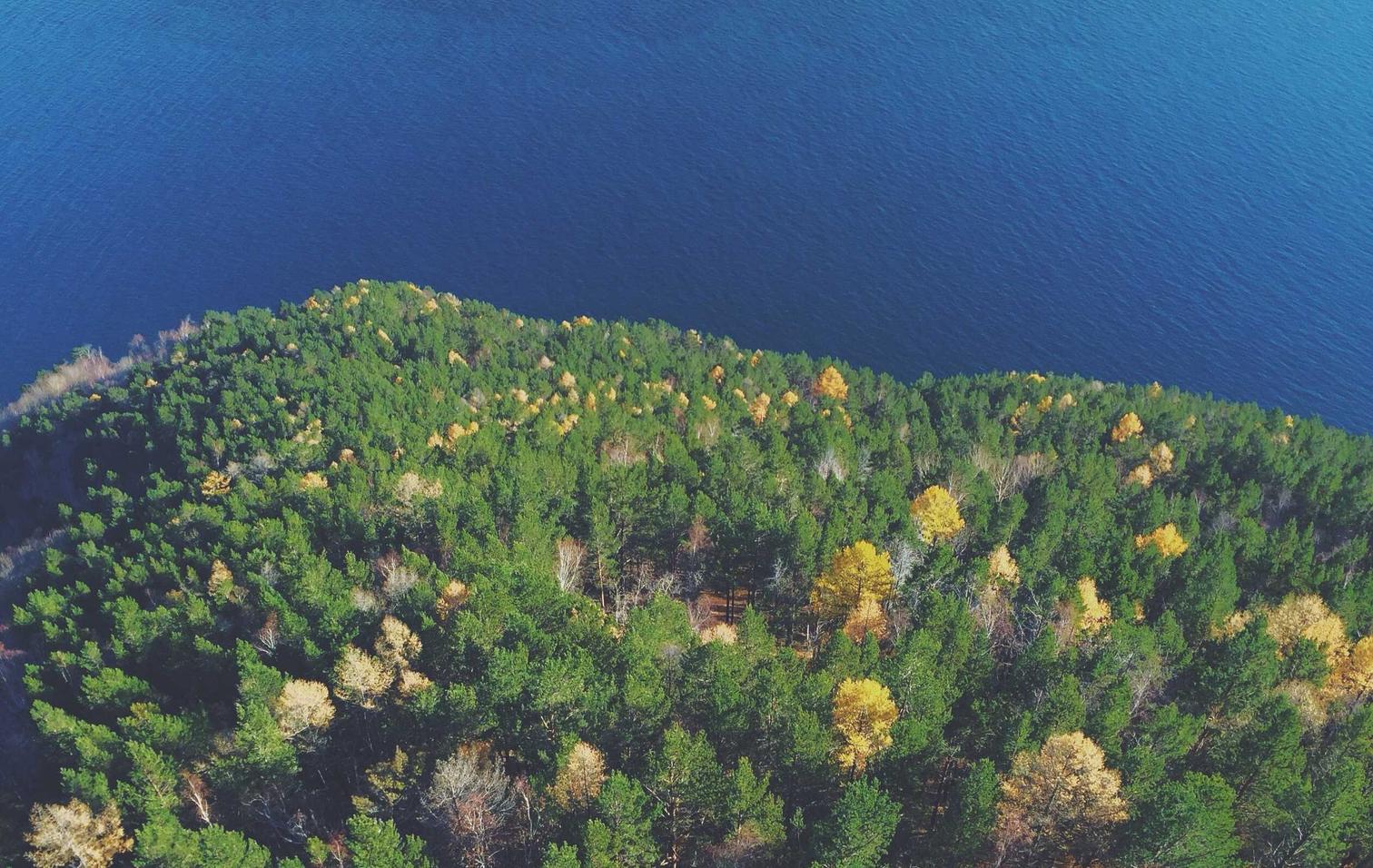 DDOS攻击教程|马上消费app详情下载教程