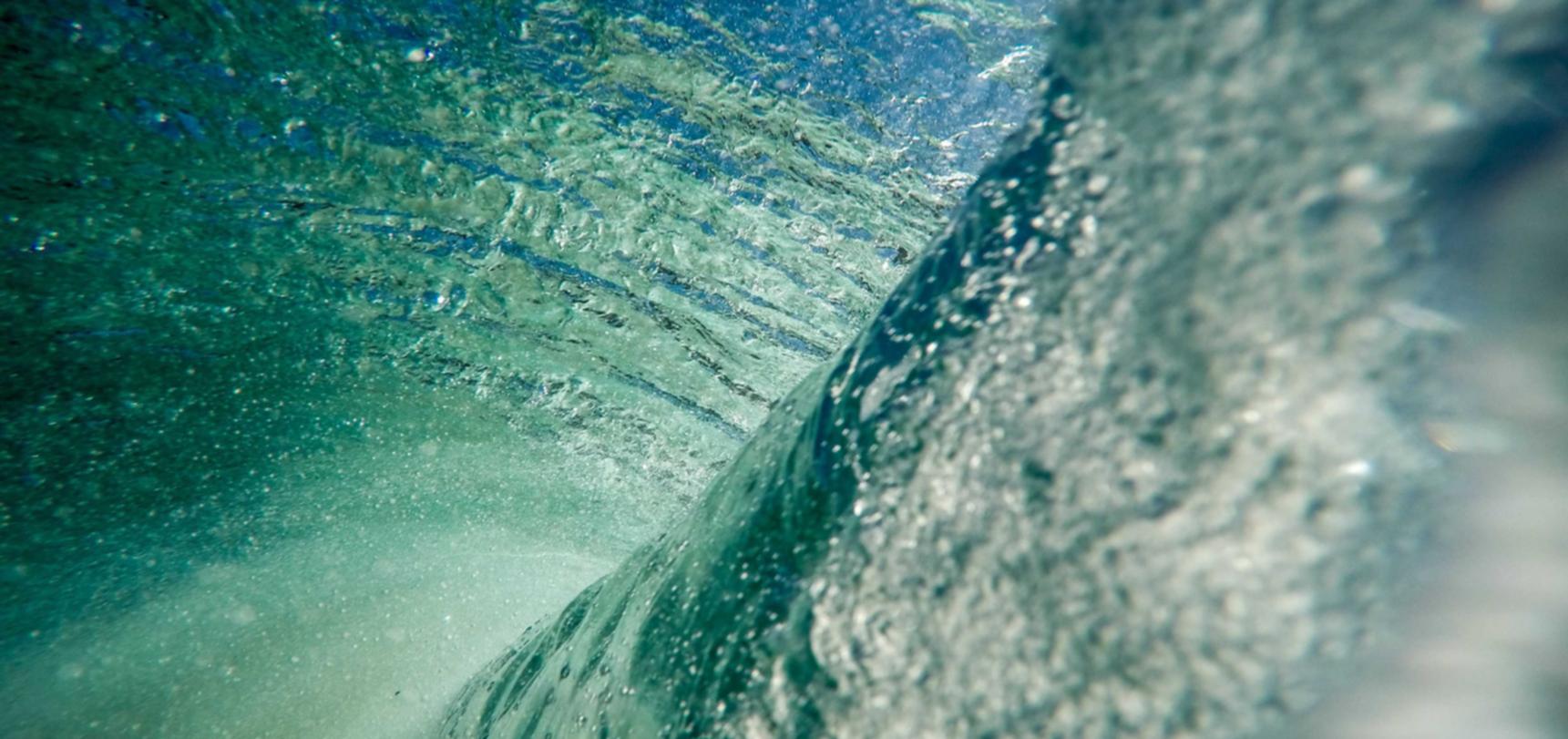 龙珠觉醒：你的app详情下载教程