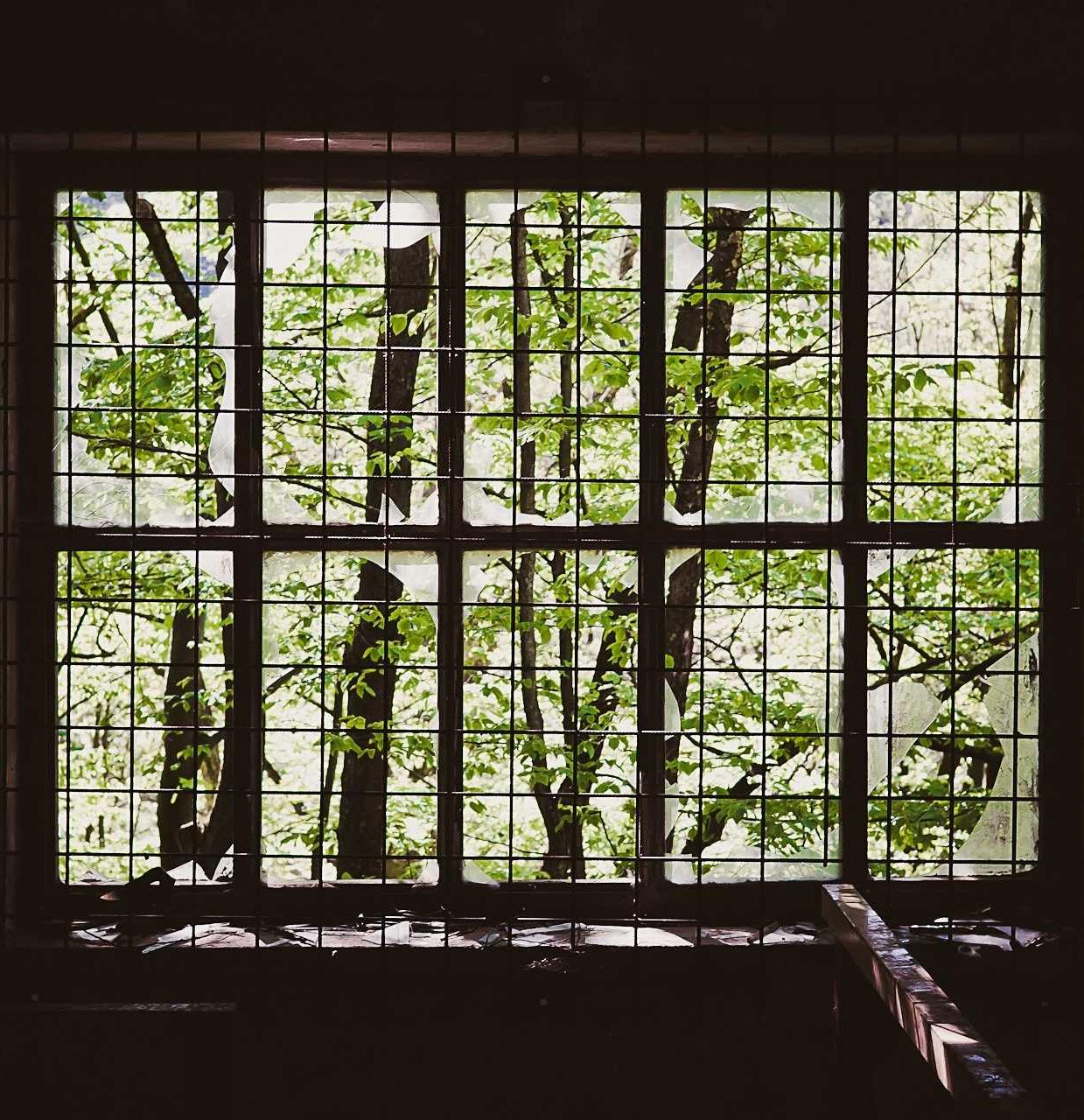 阿凡提绿豆：皓影 app详情下载教程