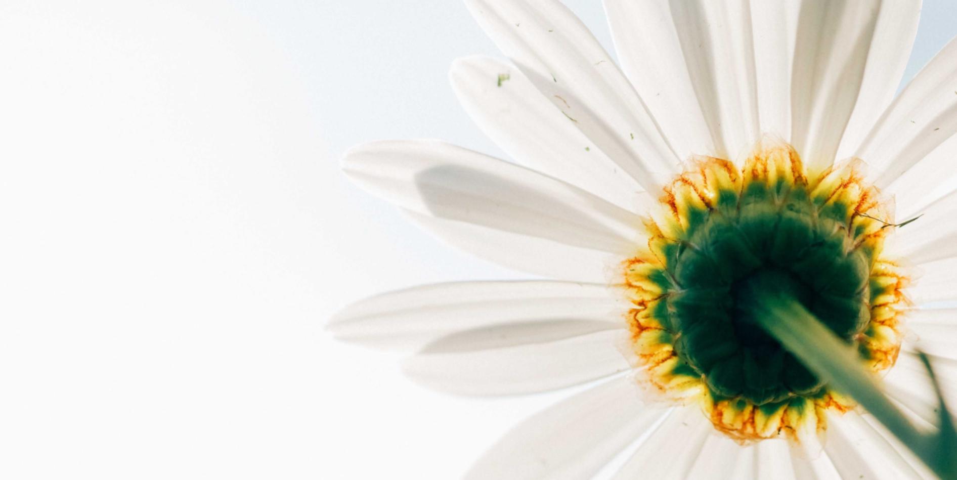 网站压力测试|详情下载教程邮政储蓄app