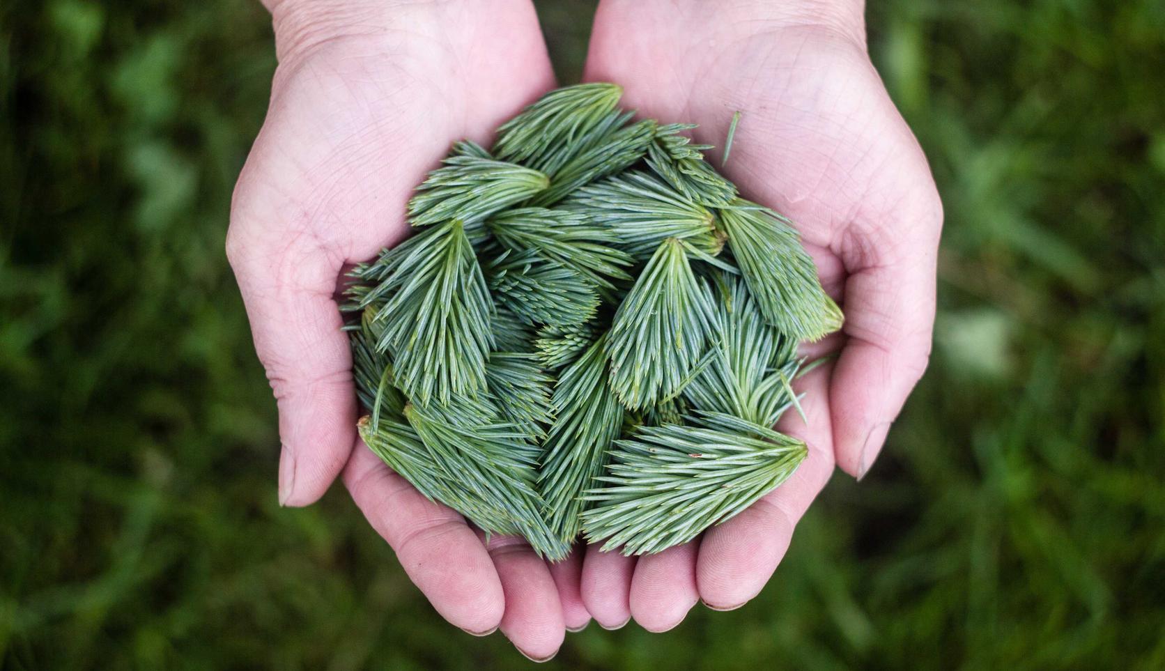 技术支持辅助：如何创建不暴露受害者的实时数据