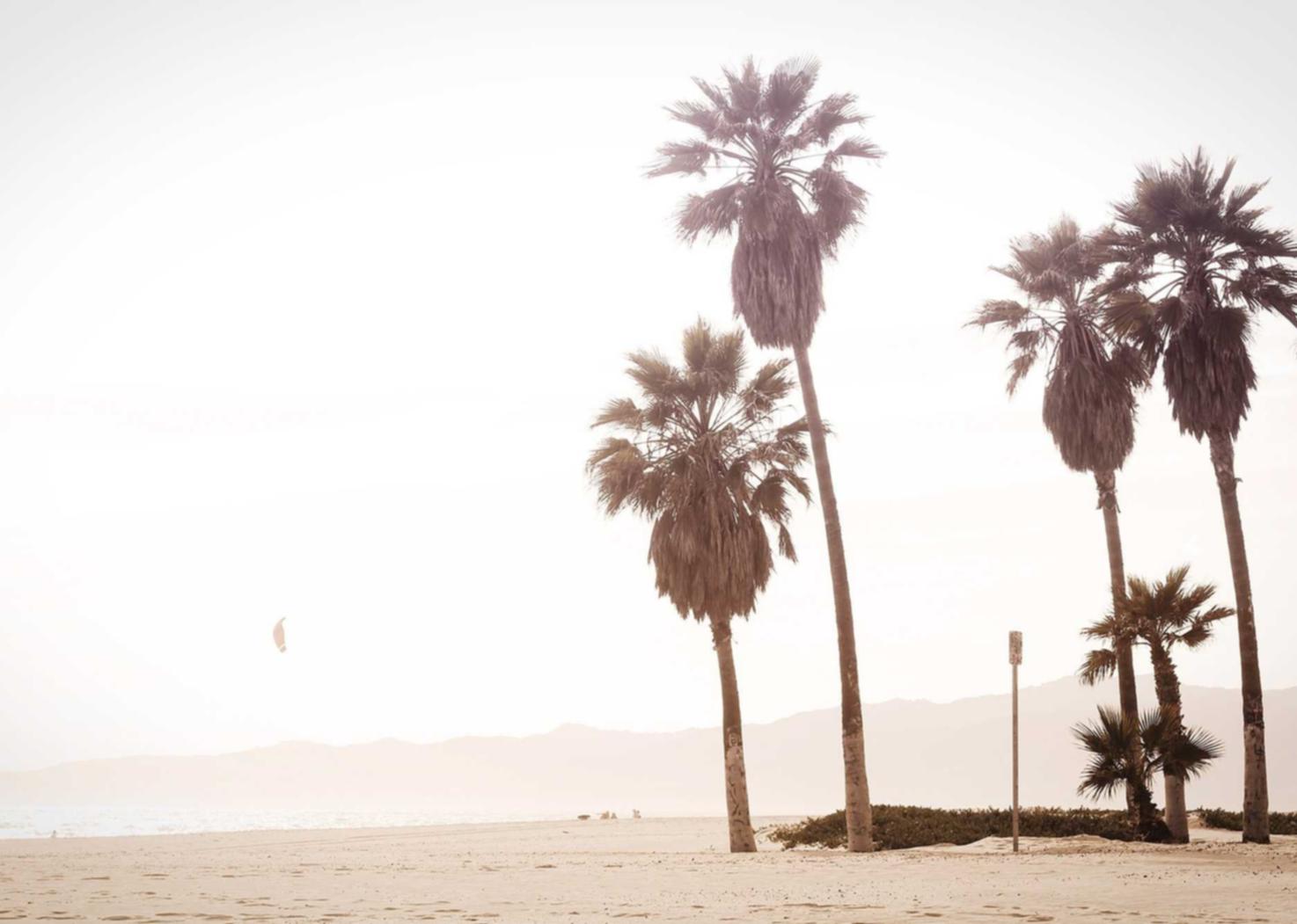 LOL：乐山公司注册代理