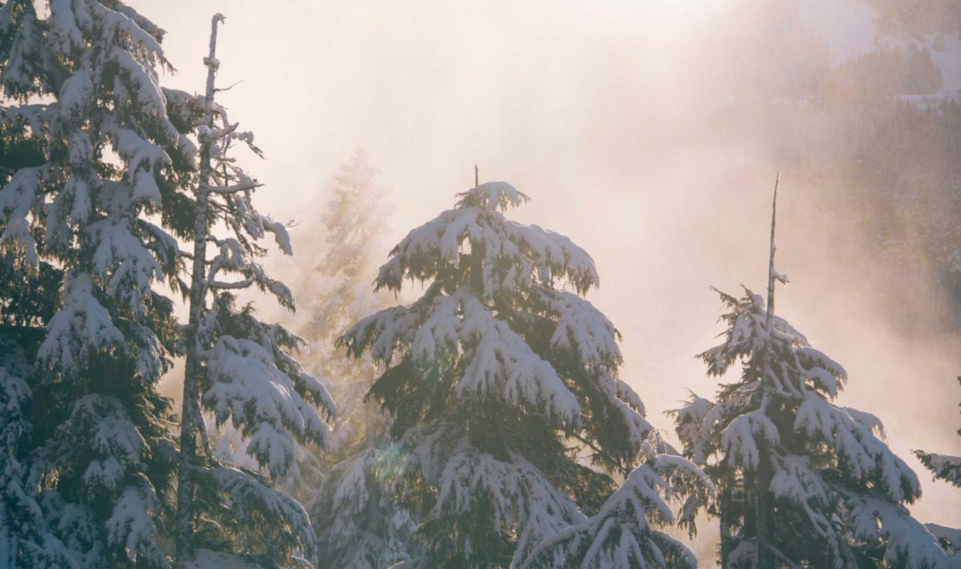 解读DDOS攻击态度报告- 靠谱财务代理平台