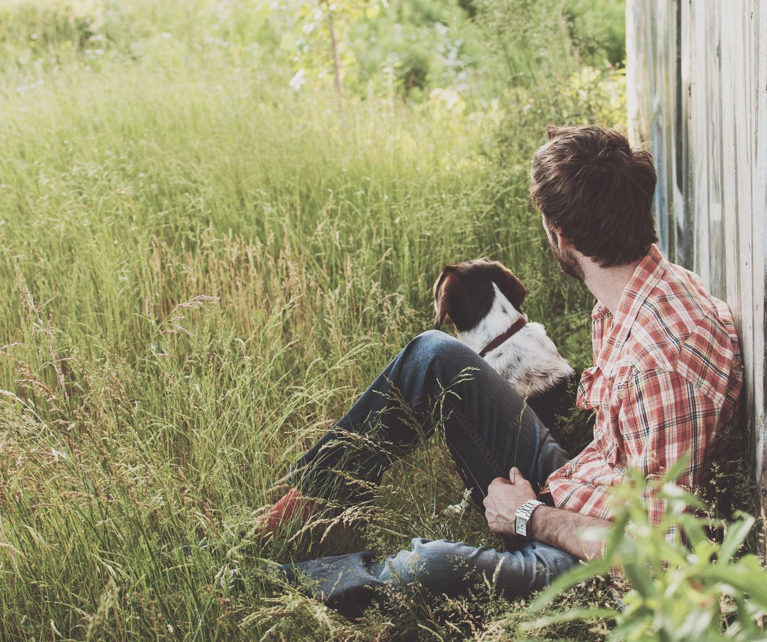 哪个平台可以购买