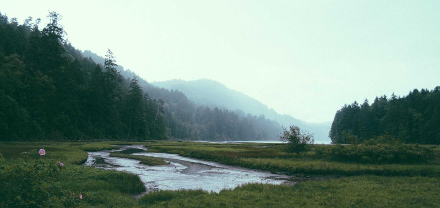 木盒蓝沉香(粗):亚马逊游戏购买平台