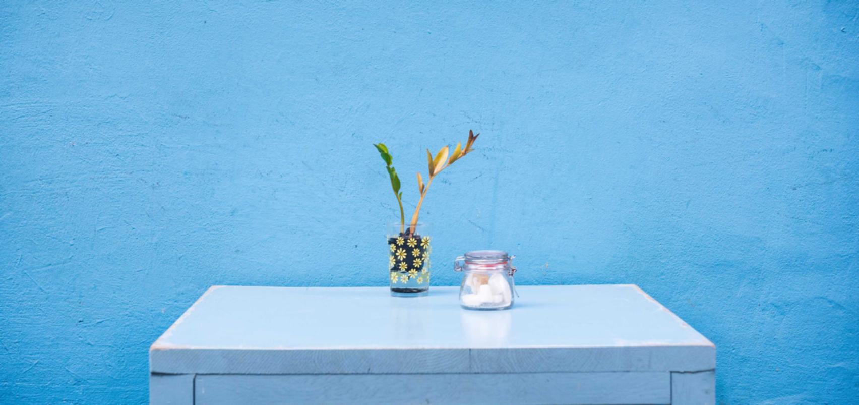 网站压力测试|如何暴露并报告网络安全漏洞