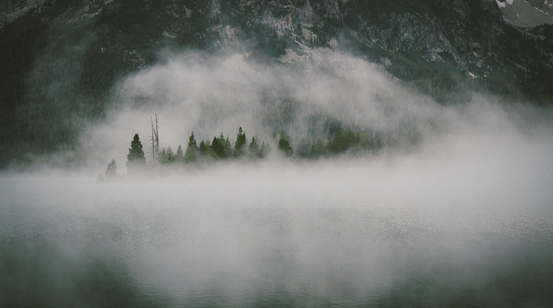 国际金平台开户