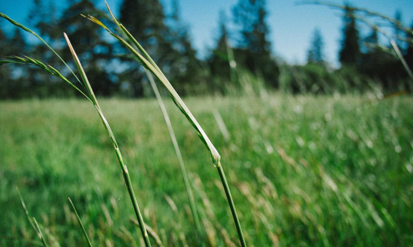 太阳3教育机构如何利用网络进行营销？