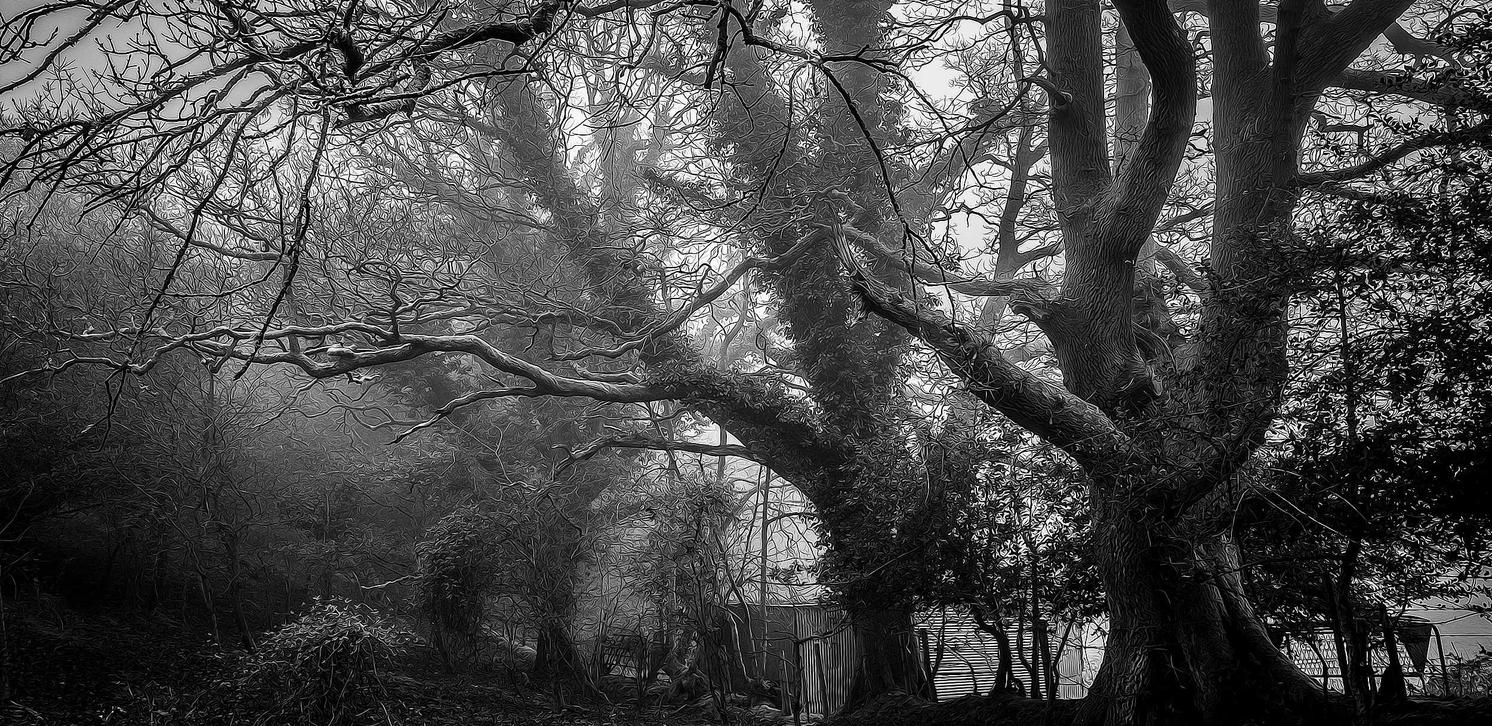 阿里云国际站实名账号：河南物流平台代理价格