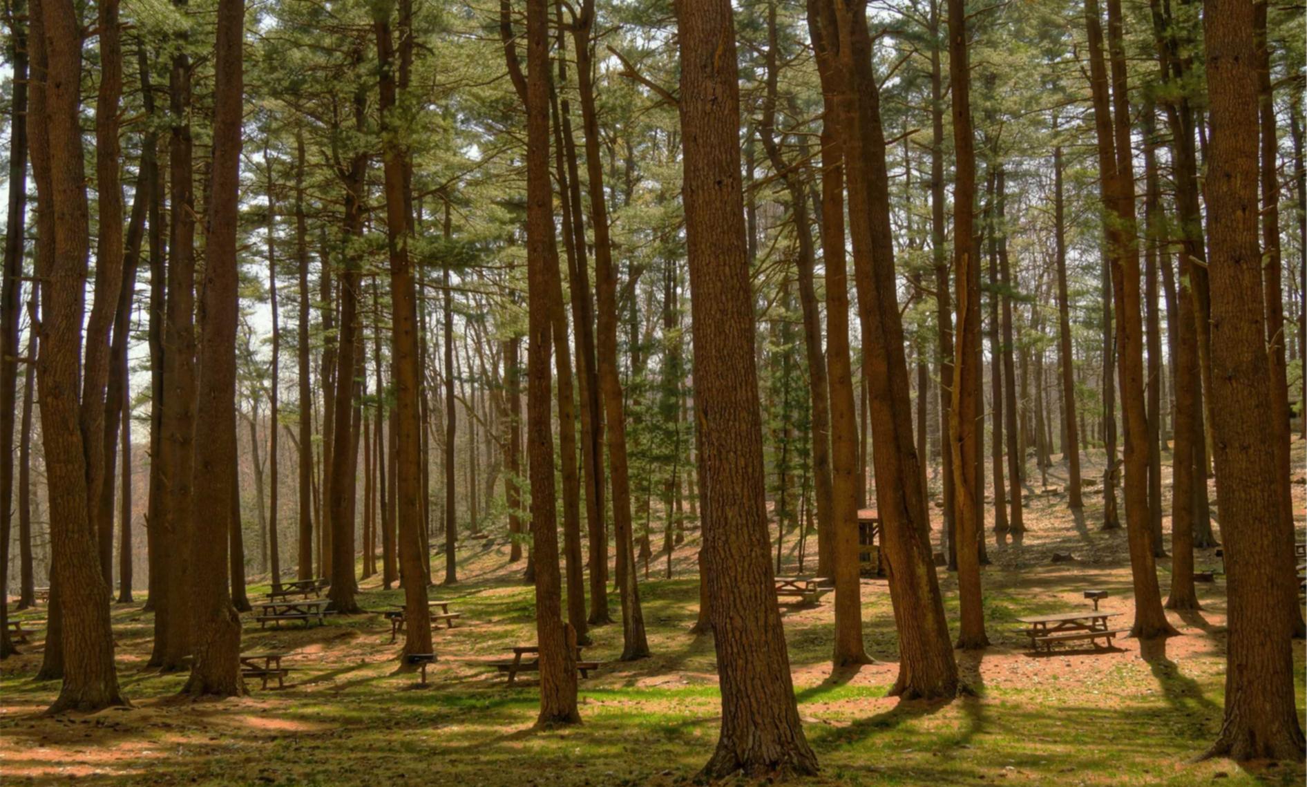 解读网站流量攻击- 高点位平台开户