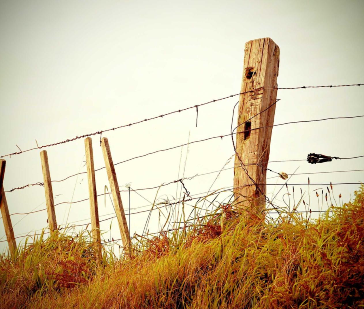 社交媒体与SEO的关系 