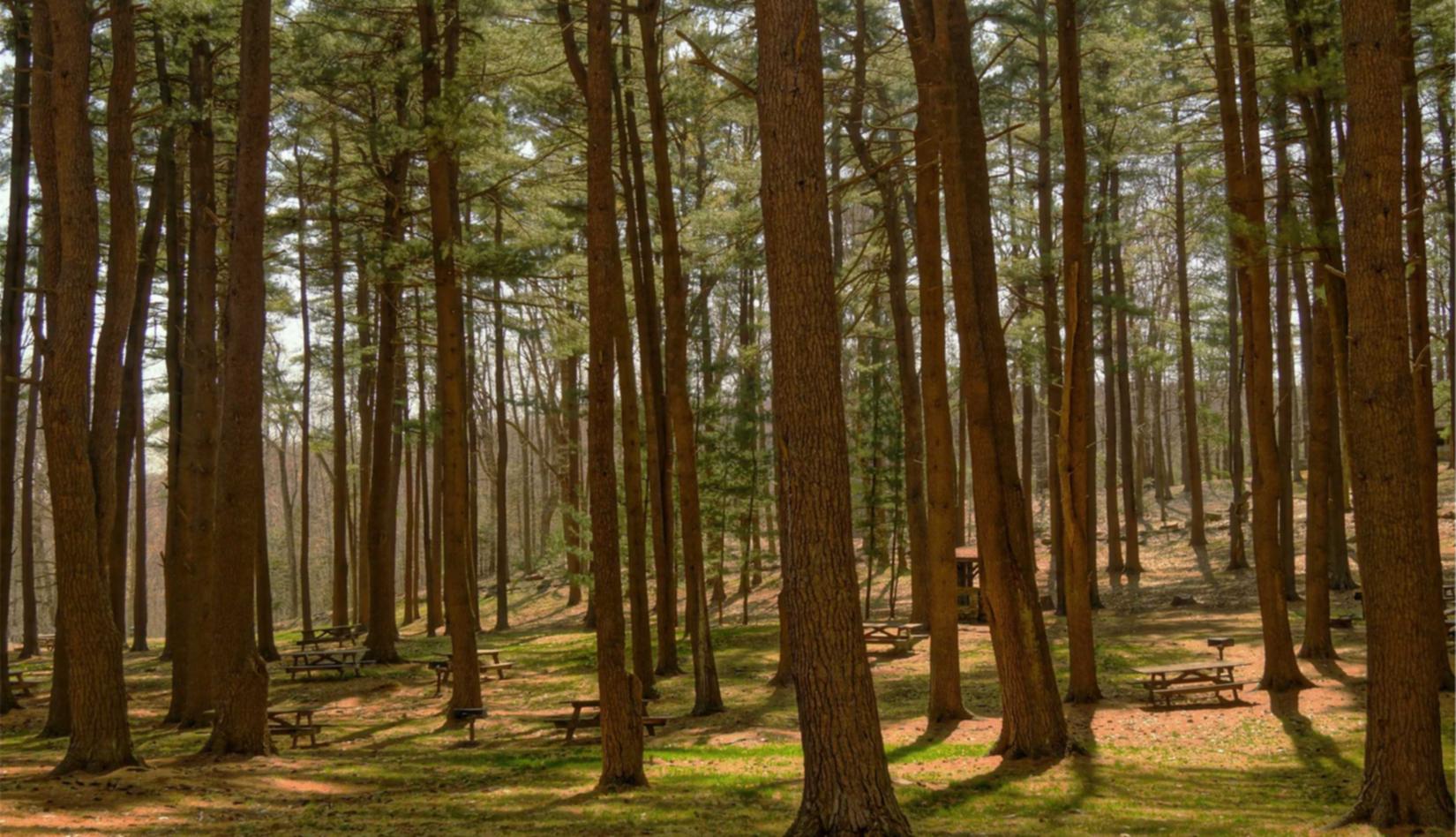 DDOS在线攻击平台|安全小程序代理平台