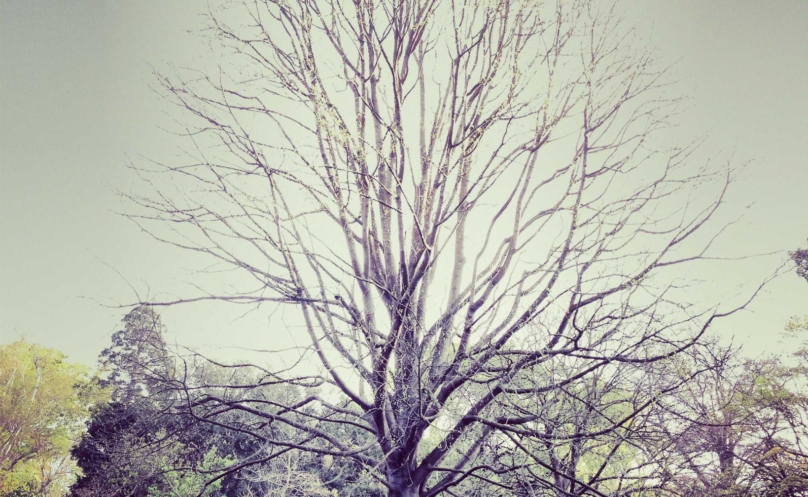 实名流量卡买卖：公司注册代理江门