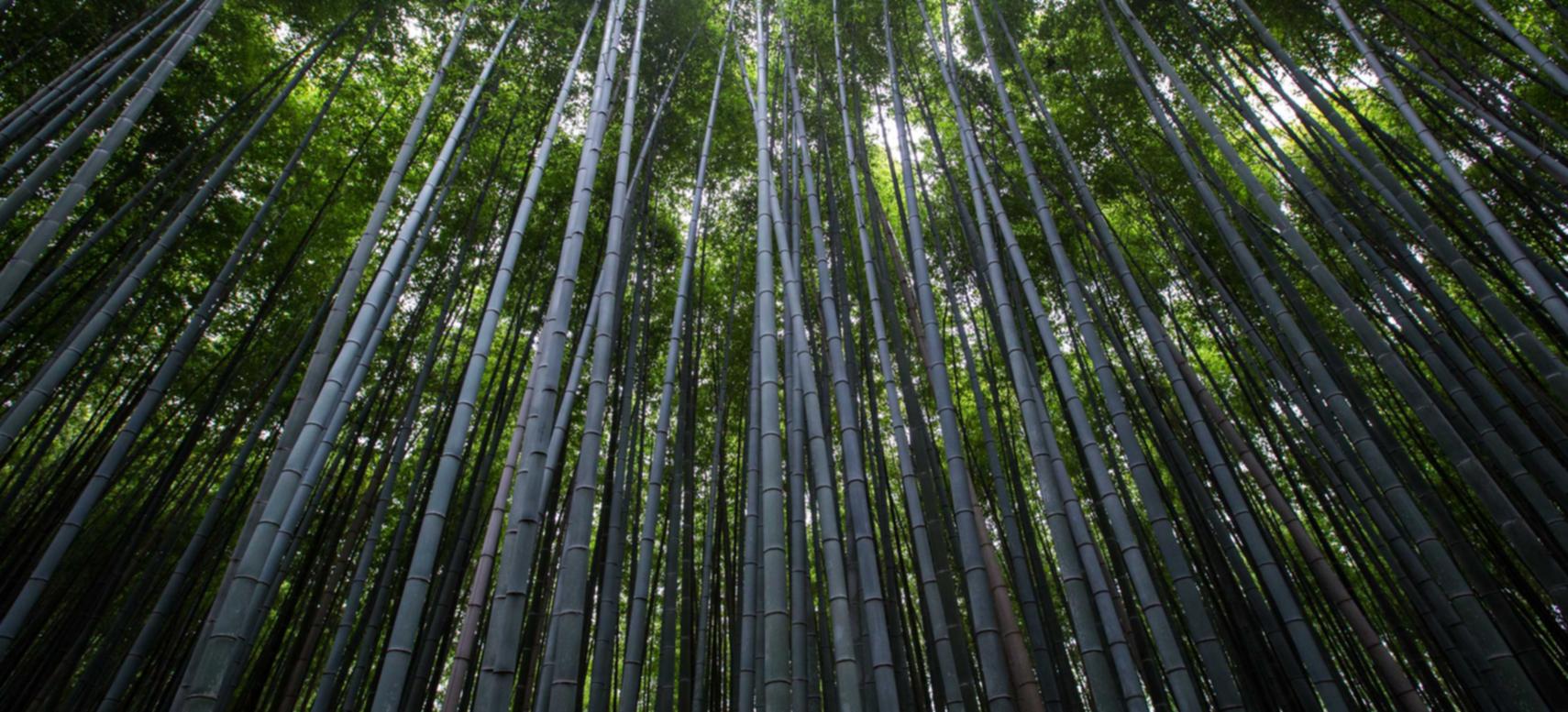 天地淞南代理注册公司